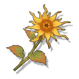 Luminous Calendula