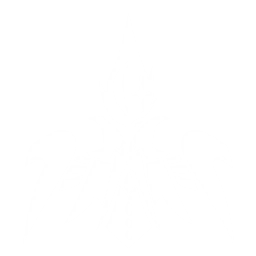 echo skill