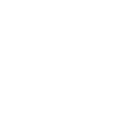 echo skill