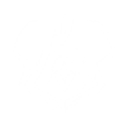 echo skill