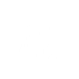 echo skill