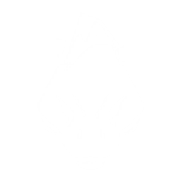 echo skill