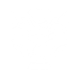echo skill