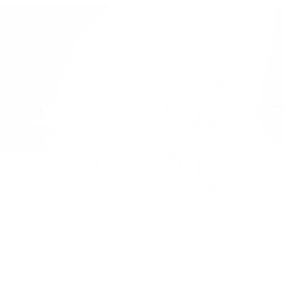 echo skill
