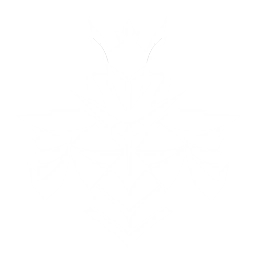 echo skill