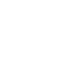 echo skill
