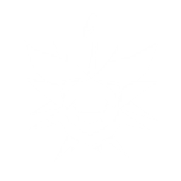 echo skill