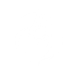 echo skill