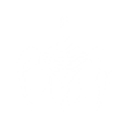 echo skill