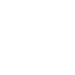 echo skill