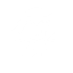 echo skill