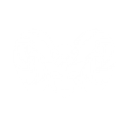 echo skill