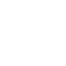 echo skill