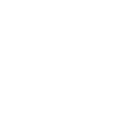 echo skill