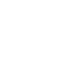 echo skill