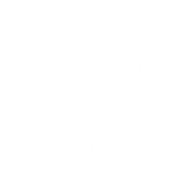 echo skill