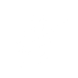 echo skill