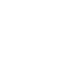 echo skill