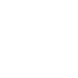 echo skill