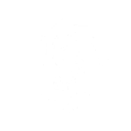 echo skill