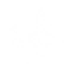 echo skill