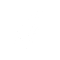 echo skill