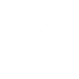 echo skill
