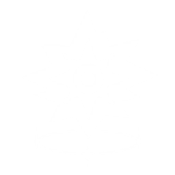 echo skill