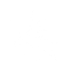 echo skill