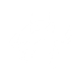 echo skill