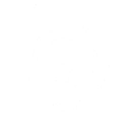 echo skill