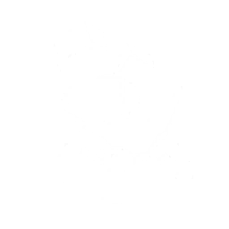 echo skill