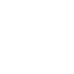echo skill