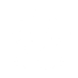 echo skill