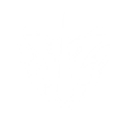 echo skill