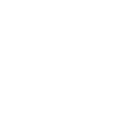 echo skill